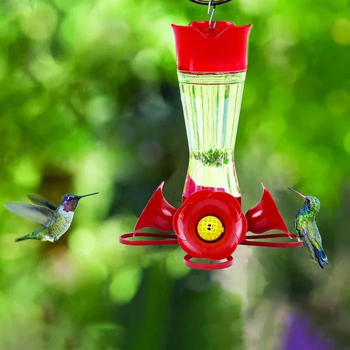 4 Fountain Hummingbird Feeder