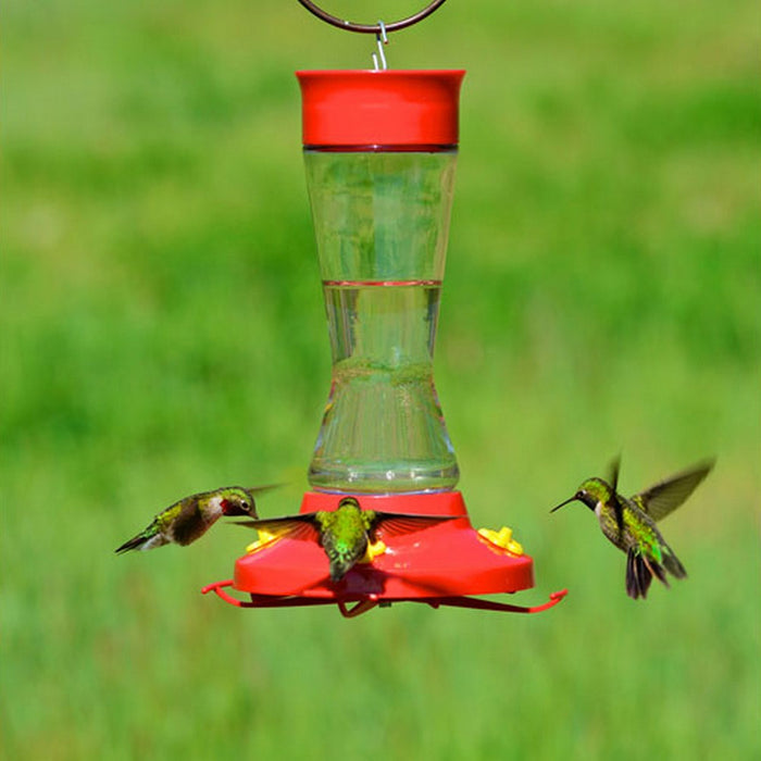 Harden Glass Bottle 16 oz Hummingbird Feeder
