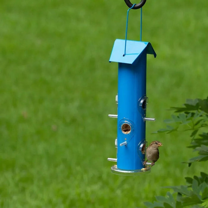 Blue 6 Port Seed Bird Feeder