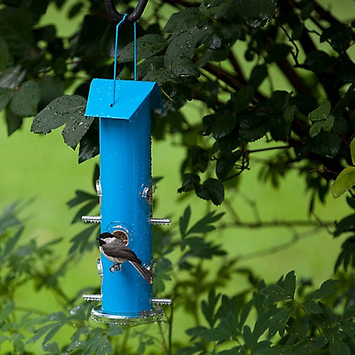 Blue 6 Port Seed Bird Feeder