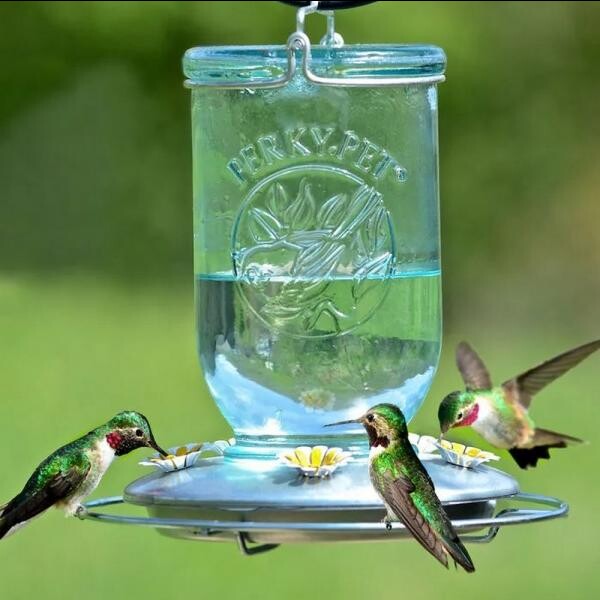 Antique Blue Mason Jar Glass Hummingbird Feeder 32 OZ