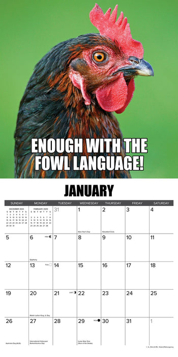 2025 No Clucks Given Wall Calendar 12 IN