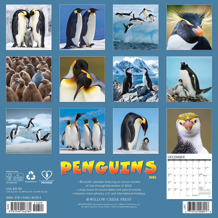 2025 Penguins Wall Calendar 12 IN