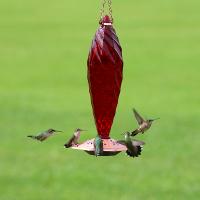 Glass Crystal Spiral Hummingbird Feeder 20 OZ