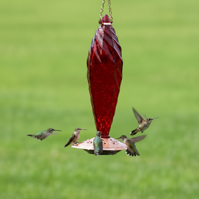 Copper Base Hummingbird Feeder in Yard