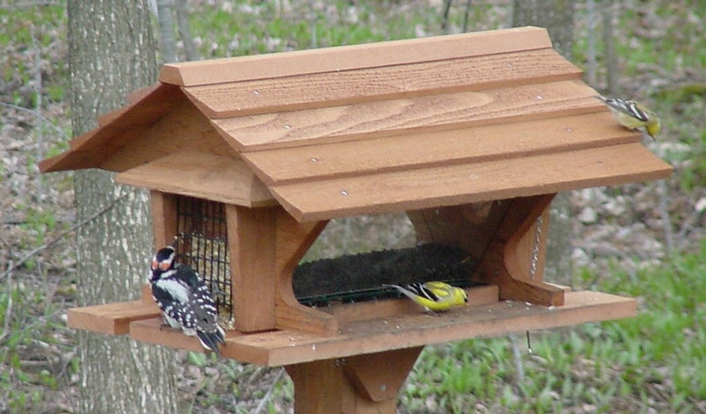 Backyard Birding Store | Shop Backyard Bird & Wild Bird Products ...