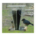 Bird feeder with two birds perched on it in a natural setting