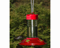 All Red With Yellow Flowers Clean Hummingbird Feeder 16 OZ