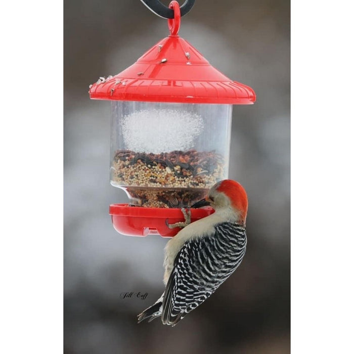 Clingers Only Bird Feeder Red