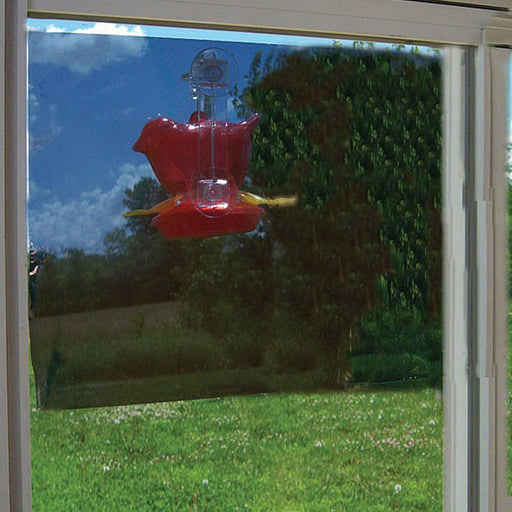 Red hummingbird feeder hanging outside a window with a reflection of trees and sky.