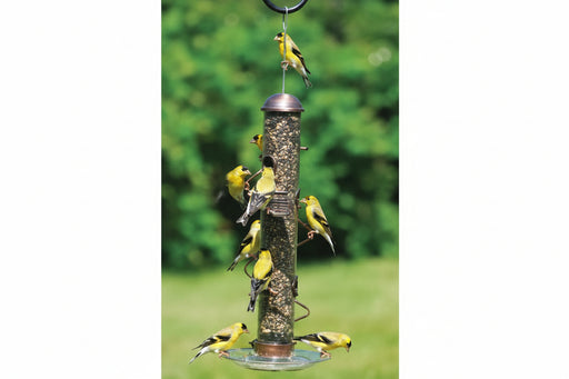 Spiral perch Finch feeder