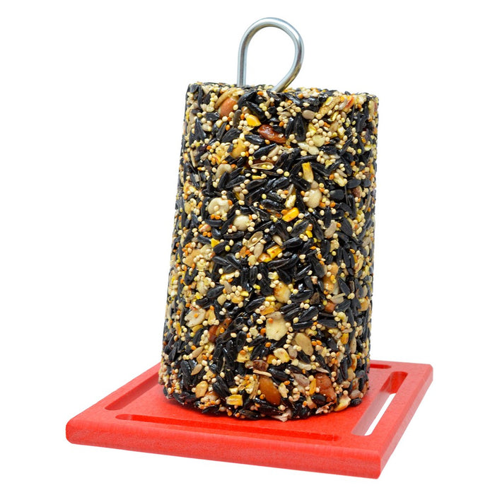 Recycled Standard Red Cylinder Bird Feeder