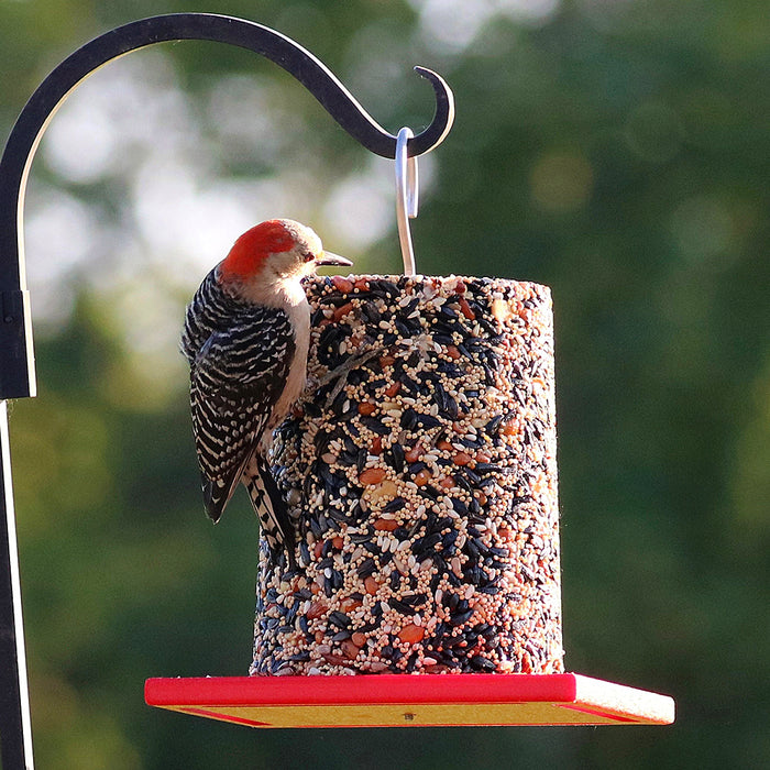 Recycled Large Red Cylinder Bird  Feeder