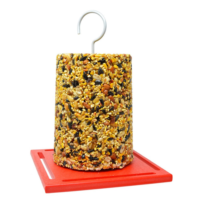 Recycled Large Red Cylinder Bird  Feeder
