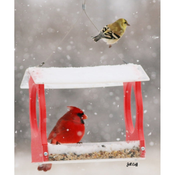 Small Red Fly-Thru Hopper Bird Feeder