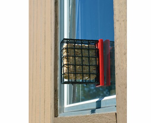 Red Suet Window Bird Feeder
