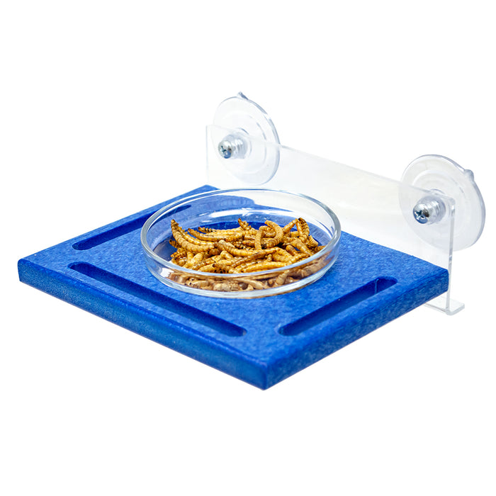Blue pet feeder with a transparent bowl containing cat food on a white background