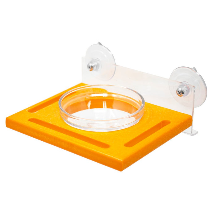 Orange pet feeder with two suction cups on a white background