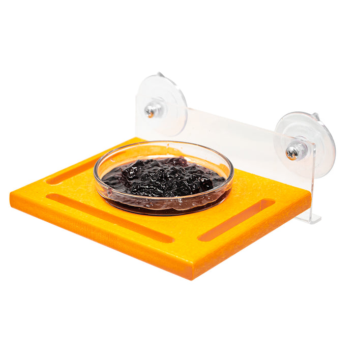 Orange tray with a bowl of black caviar and suction cups on a white background