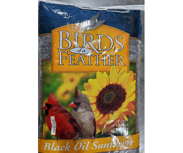 Black Oil Sunflower 20 LBS Bag Bird Seed
