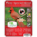 Longbird Essentials Fiery Special Blend bird seed package with a cardinal on the label.