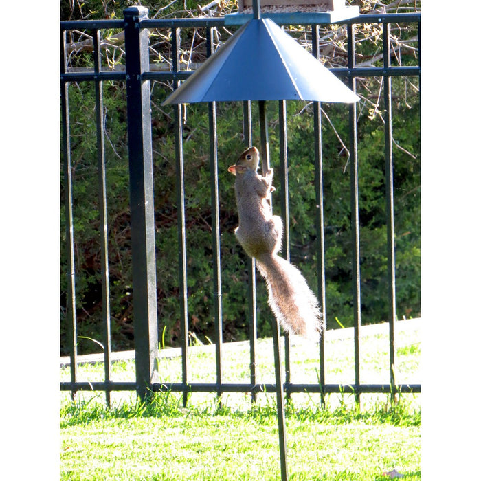 Product Bundle: Includes Blue Deluxe Cedar Ranch Bird Feeder, Universal Pole Kit 72 IN, and Squirrel Defeater Snap On Pole Baffle 14 IN
