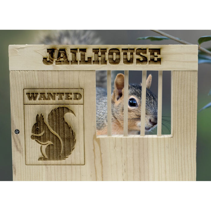 Squirrel Jail Feeder