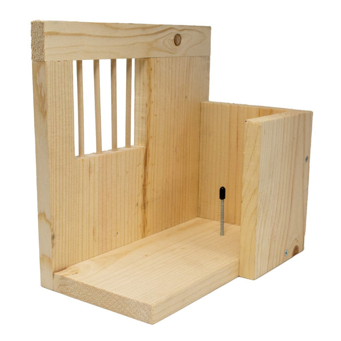 Squirrel Jail Feeder