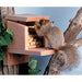 Squirrel interacting with a wooden bird feeder attached to a tree