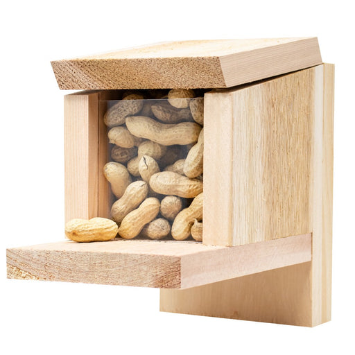 Wooden bird feeder with peanuts inside on a white background