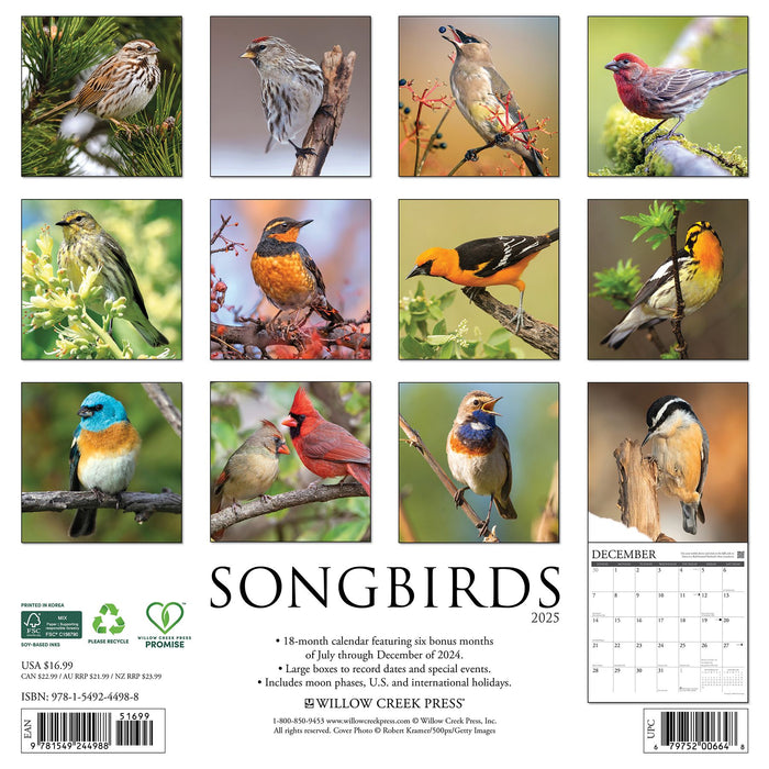 2025 Songbirds Wall Calendar 12 IN