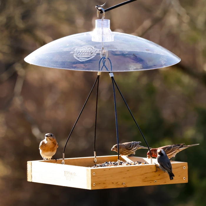 Wooden bird feeder with birds perched on it against a blurred natural background