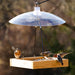 Wooden bird feeder with birds perched on it against a blurred natural background