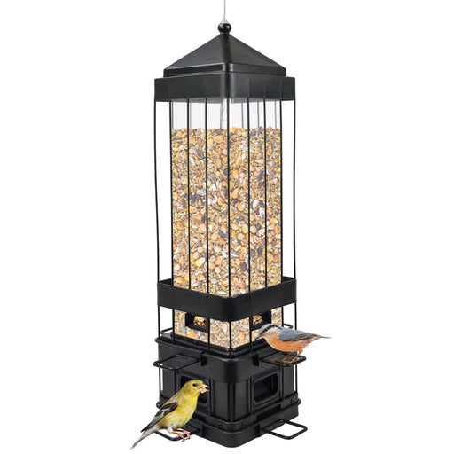 Bird feeder with birds on a white background