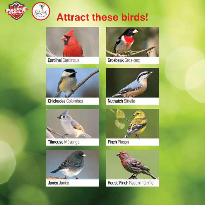 Poster of birds with labels and a green blurred background