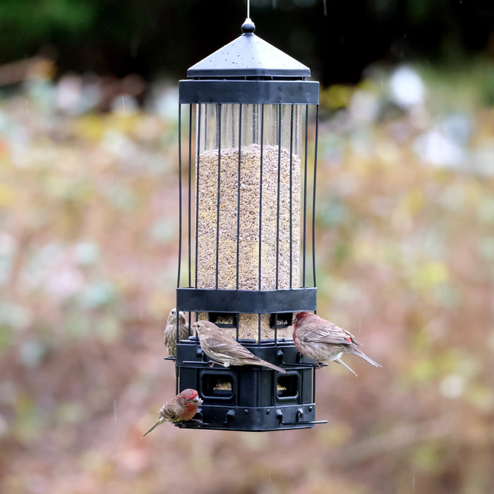 Bird feeder with birds perched on it against a blurred natural background