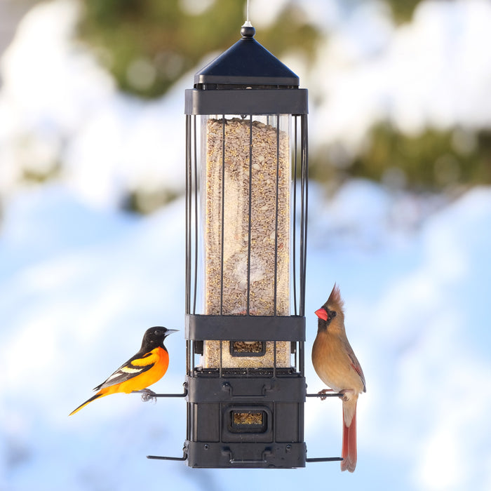 Bird feeder with two birds perched on it against a blurred natural background