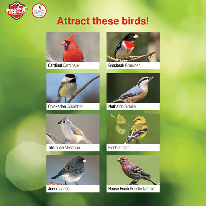 Poster with images of various birds and their names on a green background