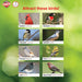 Poster with images of various birds and their names on a green background