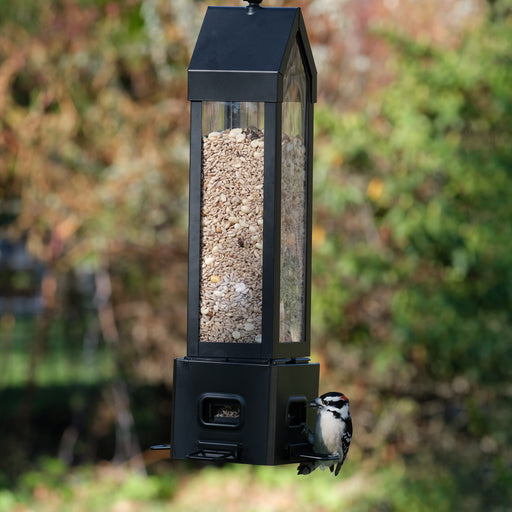 Bird feeder with a bird perched on it against a blurred natural background