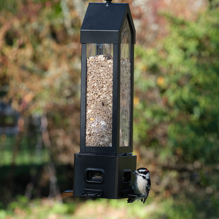Bird feeder with a bird perched on it against a blurred natural background