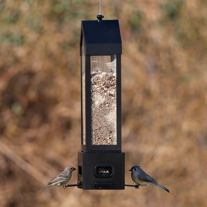 Bird feeder with two birds perched on it against a blurred natural background