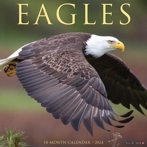 2024 Eagles Wall Calendar 12 IN