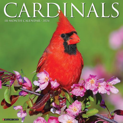 2024 Cardinals Wall Calendar 12 IN
