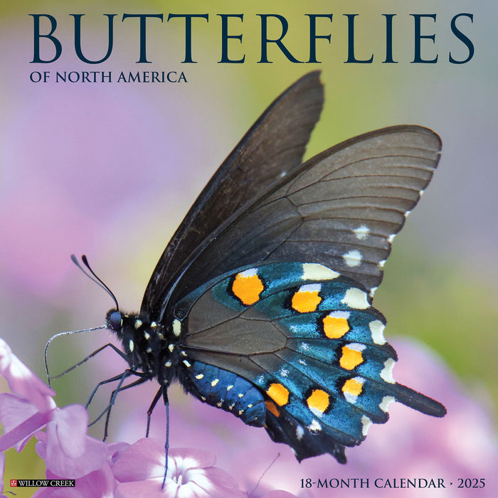 2025 Butterflies of North America Wall Calendar 12 IN