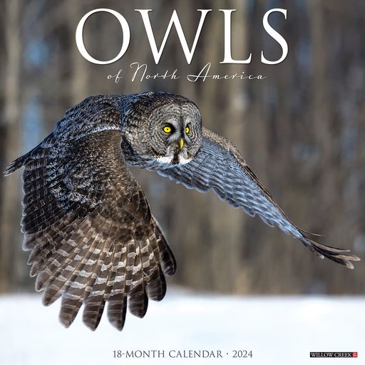 2024 Owls Wall Calendar 12 IN