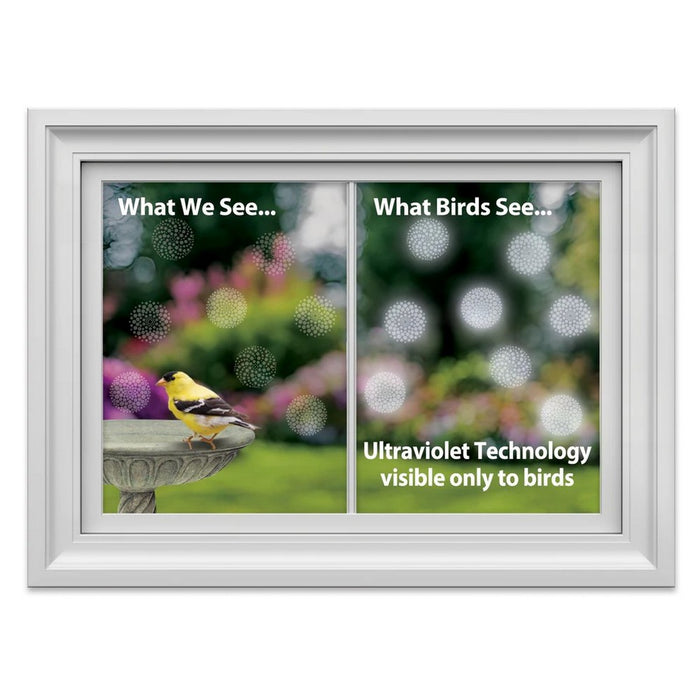 Comparison of what humans and birds see, with ultraviolet technology visible only to birds.