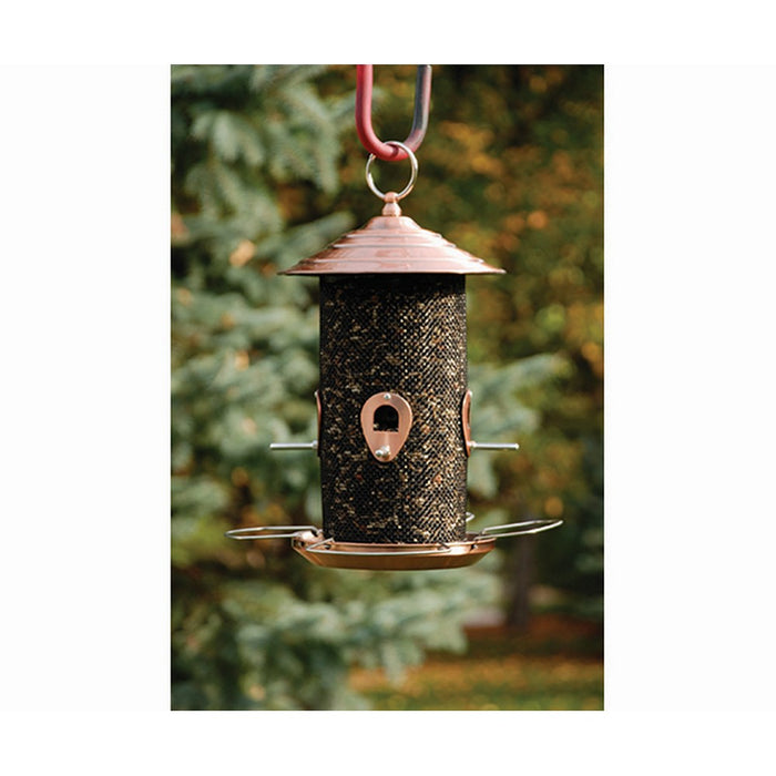 Finch Feeding Station Deluxe Bundle