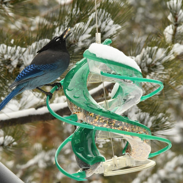 Bird perched on a green spiral bird feeder against a snowy tree background