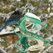 Bird perched on a green spiral bird feeder against a snowy tree background